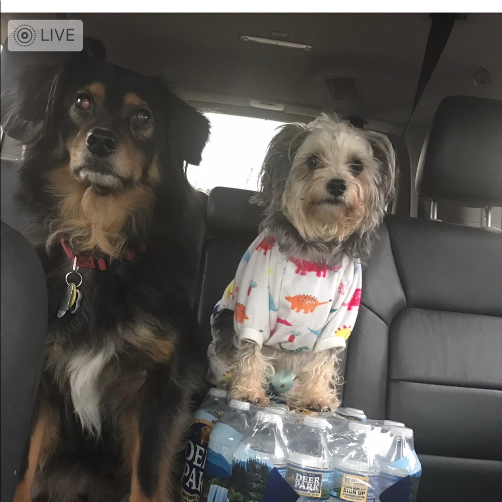 Meet your Posher, Jennifer